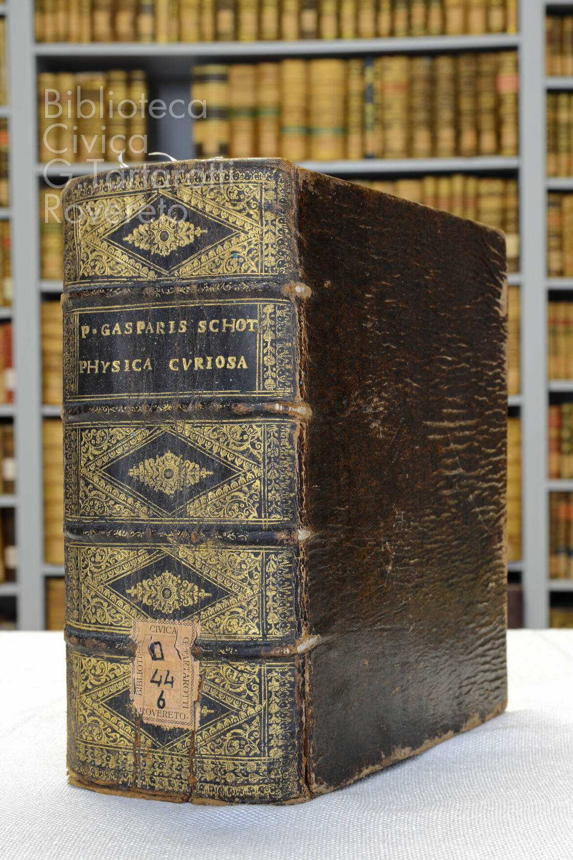 Dorso del testo seicentesco "Physica curiosa" (Foto Florio Badocchi 2014)