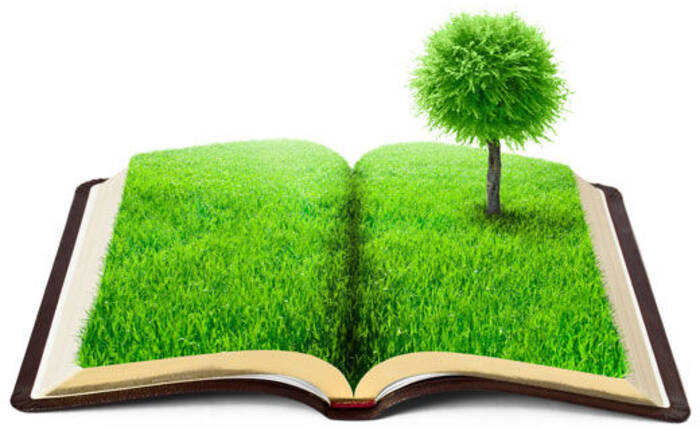 prato e alberello che nascono dalle pagine di un libro aperto