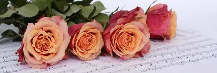 rose su pentagramma