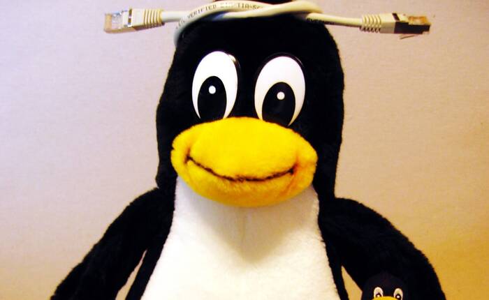 pupazzetto del pinguino-logo Linux