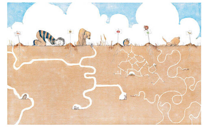 Coltivando il tempo: storie di attese e di ritmi distesi