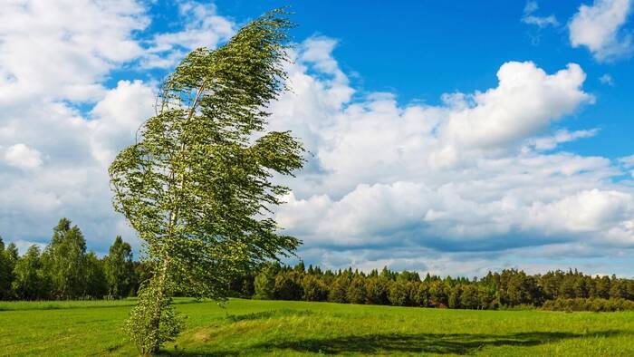Come a rincorrere il vento