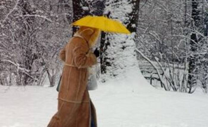 donna che cammina con un ombrello sotto una nevicata nel bosco