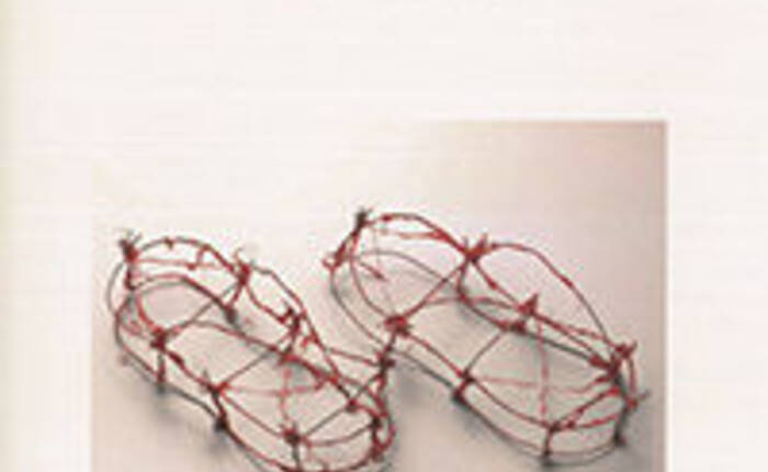 copertina del libro "Diario di Amianto" di Annamaria Cielo