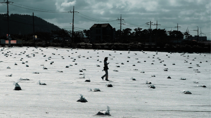 Fuori campo. La Corea del Sud oltre l'Onda