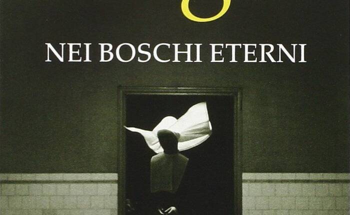 copertina del libro "Nei boschi eterni" di Fred Vargas