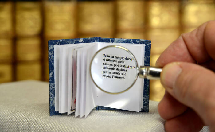 Foto BCR - Florio Badocchi 2014