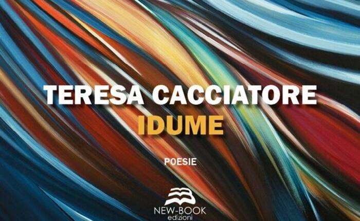 copertina del libro Idume