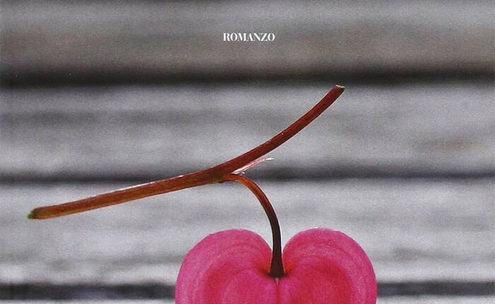copertina del libro "L'amore è una favola" di Annarita Briganti