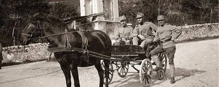 copertina del libro Isera