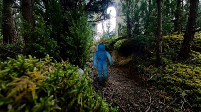 La maschera e l'albero