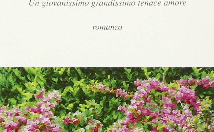 copertina del libro "La valle dei Maggiociondoli" di Antonella Dorigotti