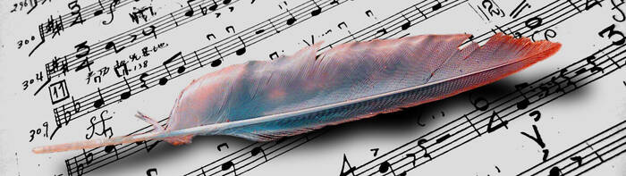 Tutti i testi musicati (2017)