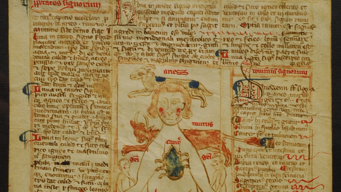 Le scienze nel Medioevo. Cure e ricette tra Medioevo ed Età moderna