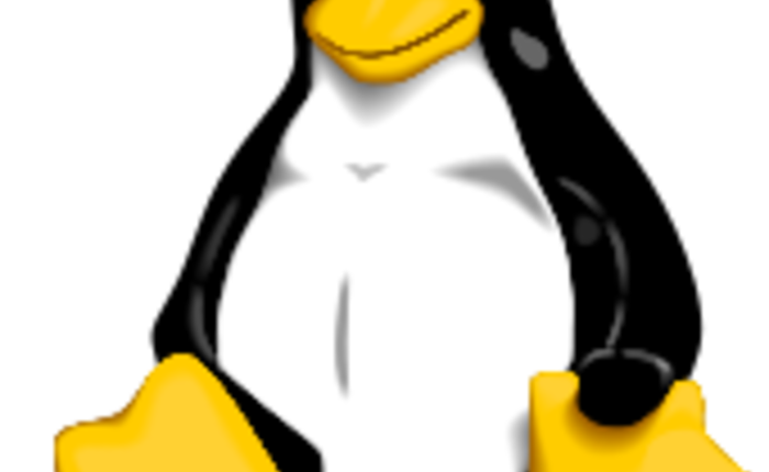 Pinguino simobolo di Linux