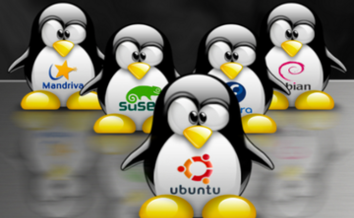 Poinguini Linux