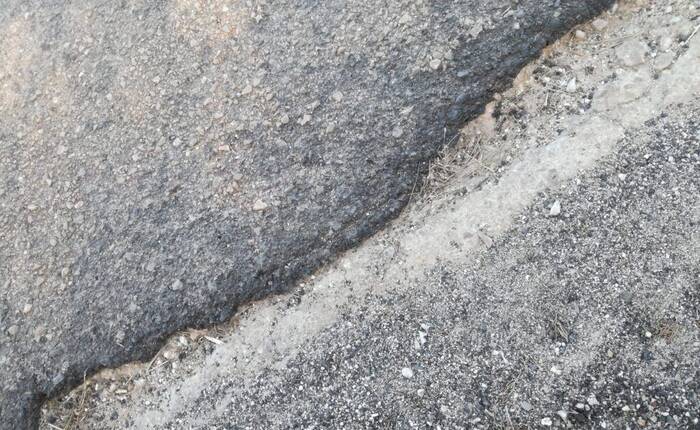 (immagine di L. Mengoli)