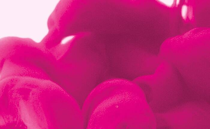 bolle rosa