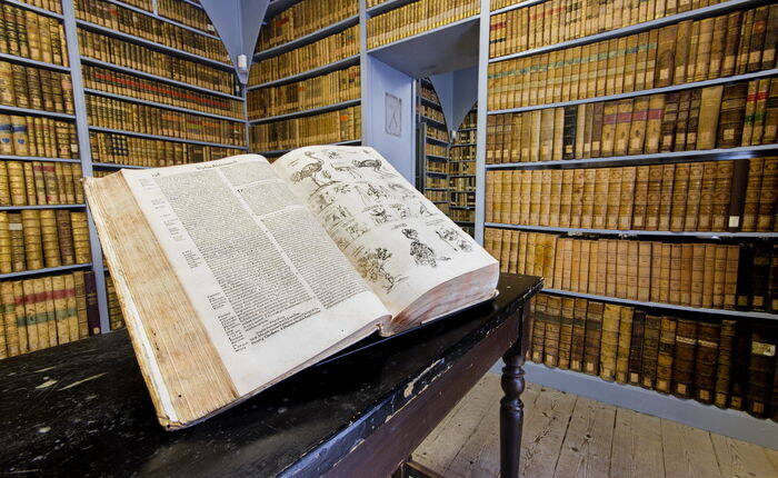 Particolare della "Sala d'oro" dei magazzini storici di Palazzo Annona