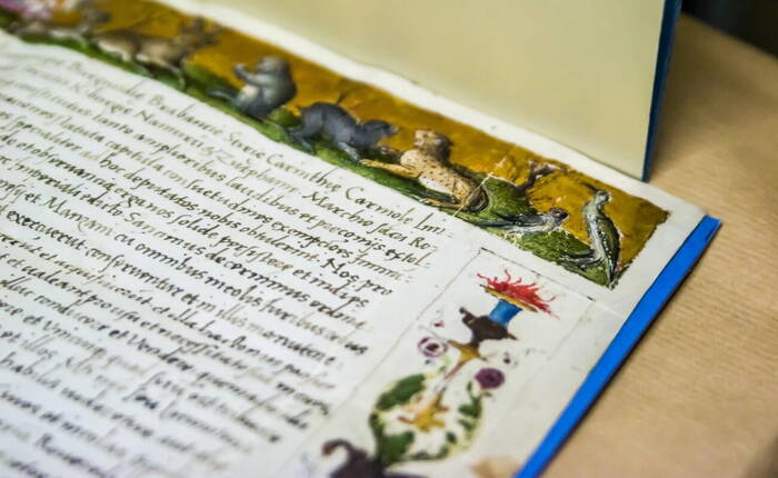 BCR Foto Stefania Pocchi 2014