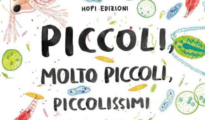 Dettaglio della copertina del libro