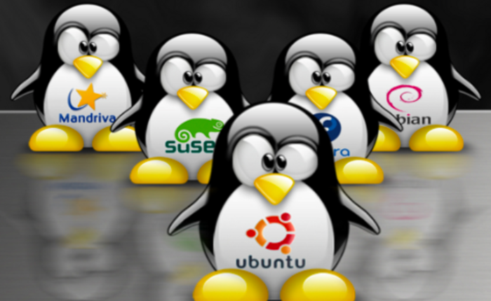 Sito web con Linux