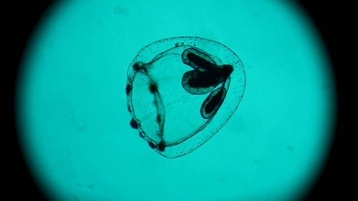 #SuperSabato al polo