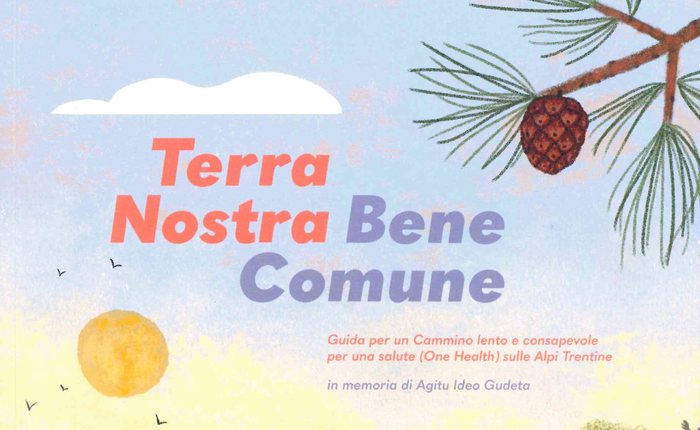 dettaglio della copertina