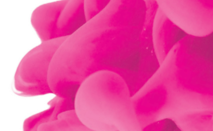 Viaggio jazz tra nord e sud America