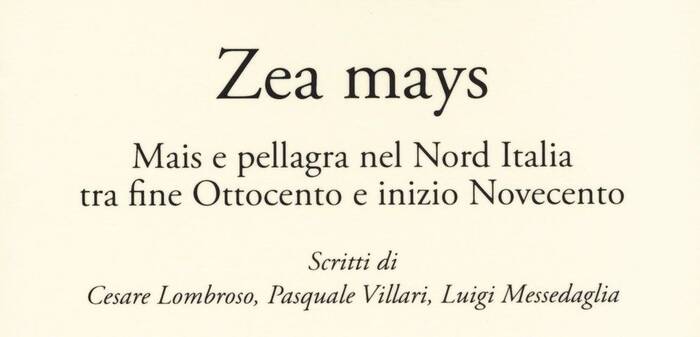 copertina del libro "Zea mays" 