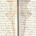 Codice 29 - Atti dell'apostolo Pietro (?) in lingua Tamil, sec. XVI (?)