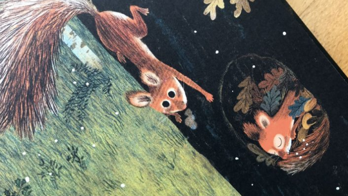 Bosco e sottobosco