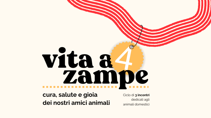 Dalla gabbia al divano: costruire l'equilibrio perfetto