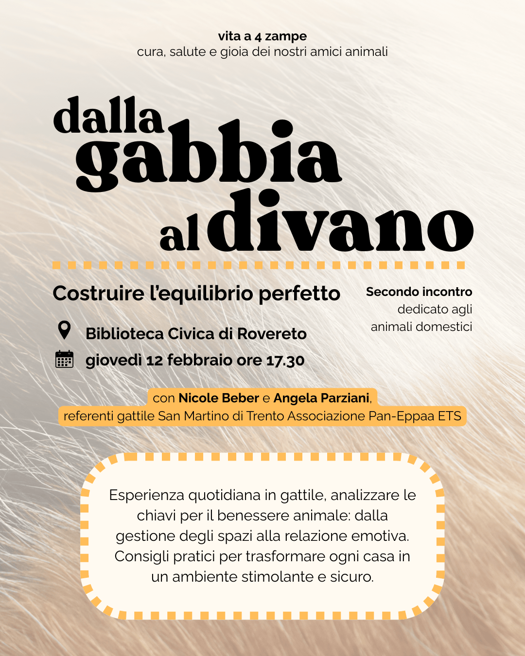 Locandina Dalla gabbia al divano