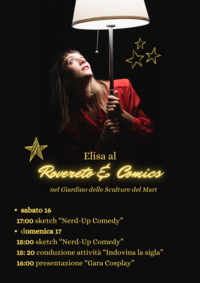 locandina Elisa Salvini